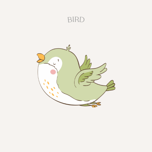 BIRDS