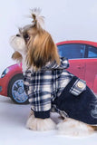 Teddy VIP Pomeranian Small Dog Cashmere Coat