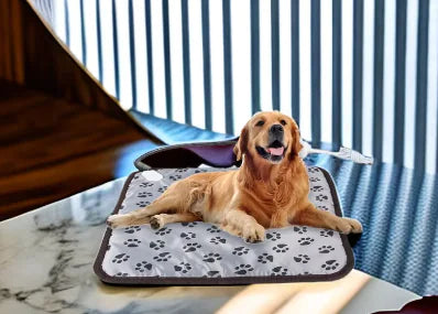 Pet Heated Blanket