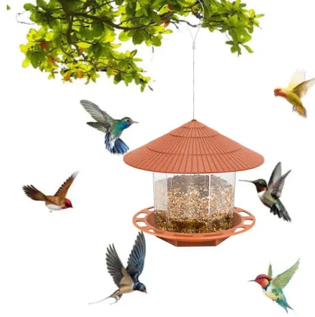 Automatic Bird Feeder Main image