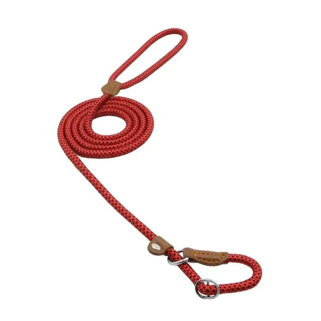 Nylon Pup Set Main image